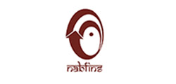 NABFINS